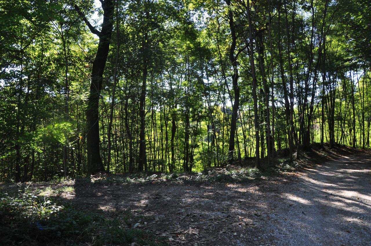 Villa Fior di Robinia Giavera del Montello Esterno foto