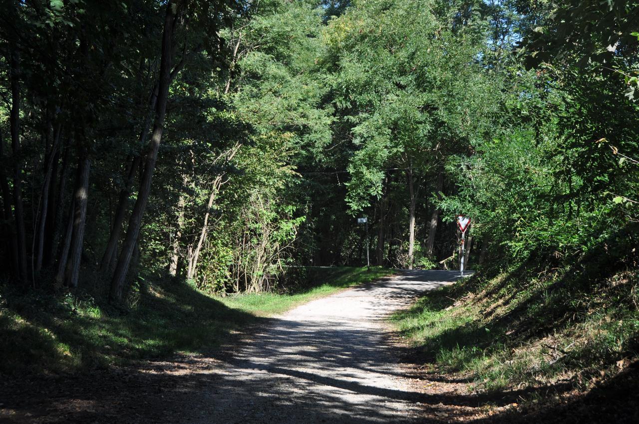 Villa Fior di Robinia Giavera del Montello Esterno foto